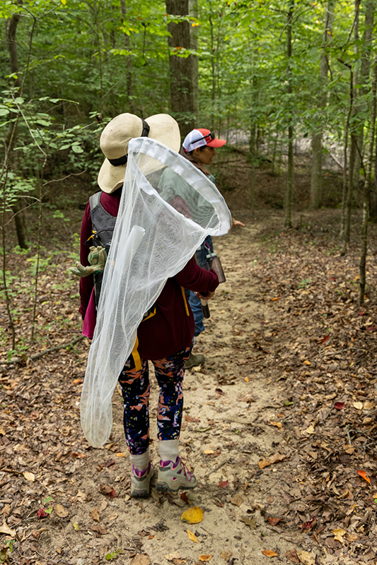 A student walking through the woods holding a bug net.