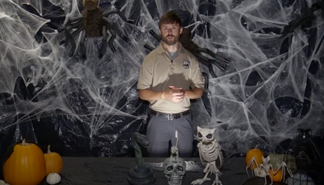 spooky wildlife video link