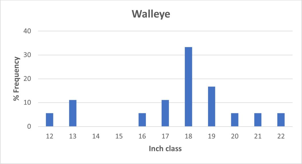 Walleye Length frequency graph