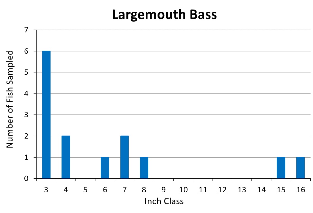Largemouth Bass length frequency graph