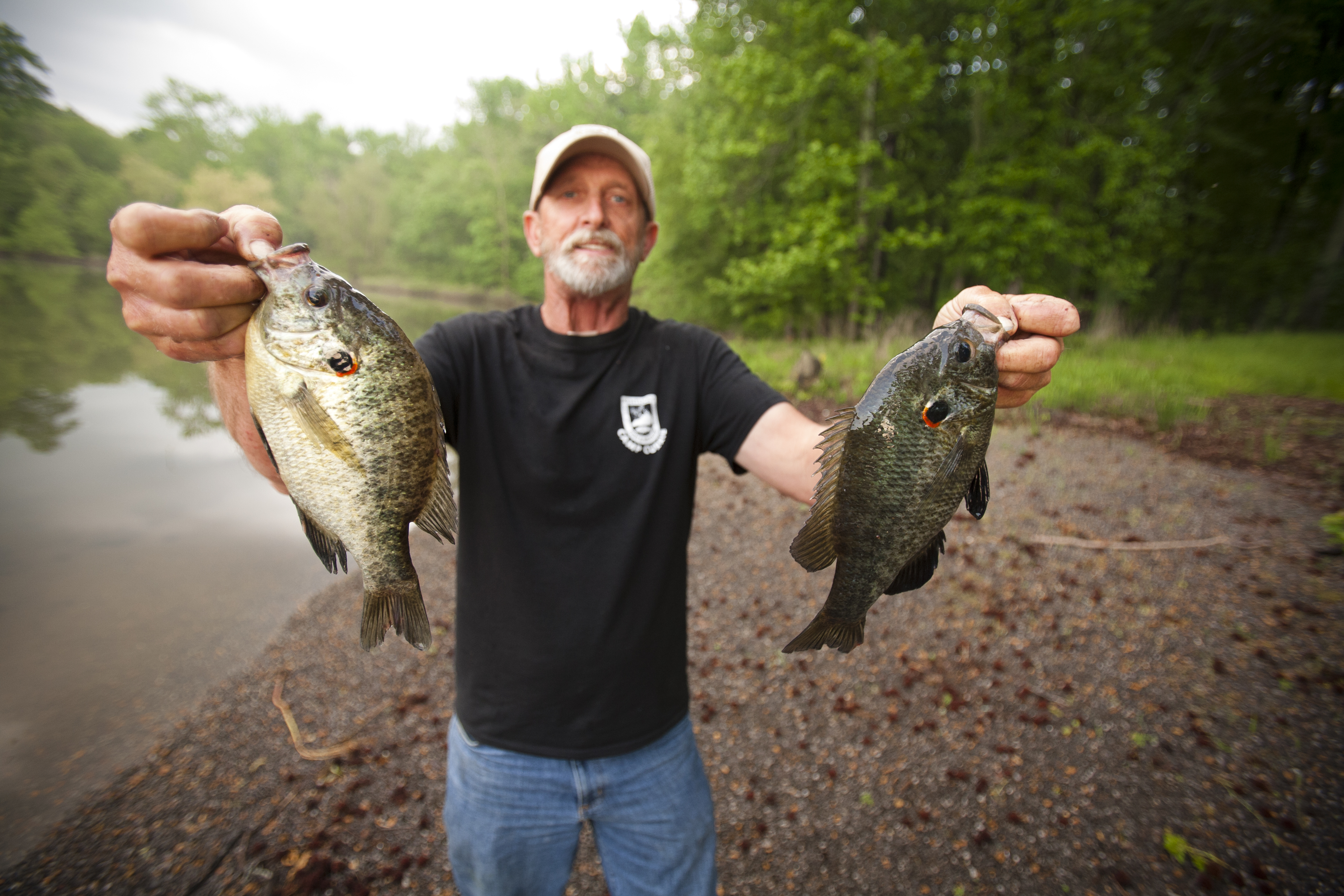 a man is holding up two redear sunfish in each hand.
