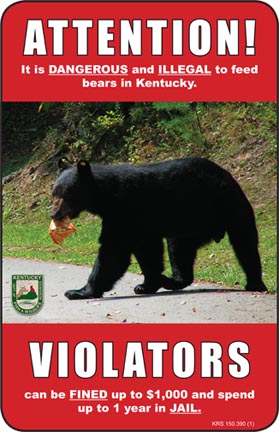 Feeding bears is illegal in Kentucky