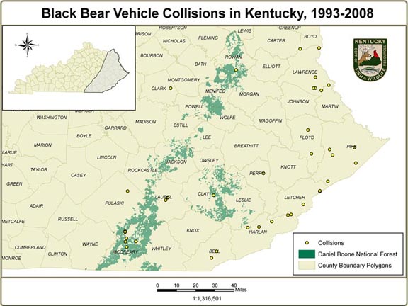 Black bear vehicle collisions in Kentucky, 1993-2008